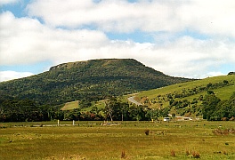 New Zealand - Catlins