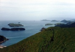 New Zealand - Coromandel