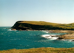 Neuseeland - Curio Bay