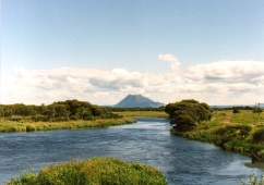 Neuseeland - Mt Edgecumbe