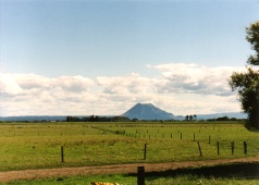 Neuseeland - Mt. Edgecumbe