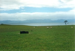 New Zealand - Firth of Thames