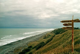 New Zealand - Te Waewae Bay / Fjordland