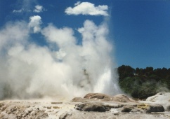 Neuseeland - Pohutu Geysir