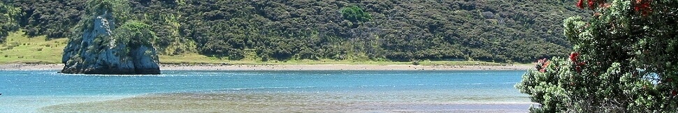 New Zealand - Houhora Harbour