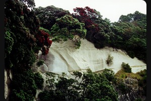 Cathedral Cove