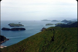 Coromandel