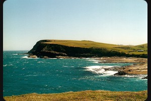 Curio Bay