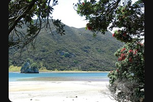 Houhora Harbour