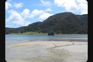 Houhora Harbour