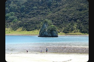 Houhora Harbour