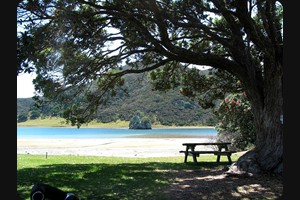 Houhora Harbour