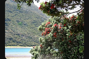 Houhora Harbour