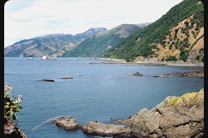 Kaikoura