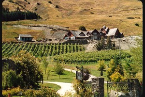 Kawarau Vineyard