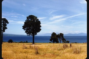 Lake Taupo