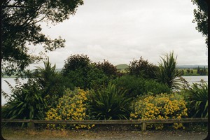 Lake Waihola