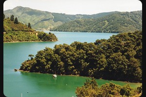 Marlborough Sounds