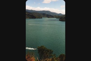 Marlborough Sounds