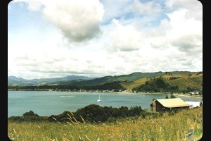 Mercury Bay - Whitianga