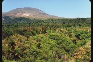 Mt. Tongariro