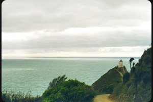 Nugget Point