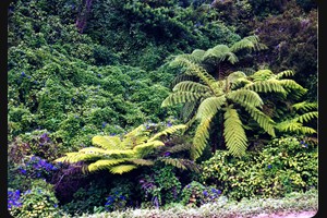 Orere Point