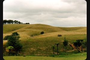 Orere Point