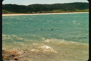 Porpoise Bay