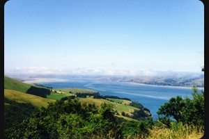 Port Chalmers