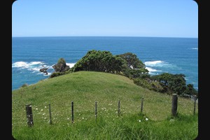 Tutukaka Coast