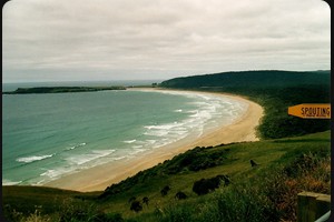 Tautuku Beach