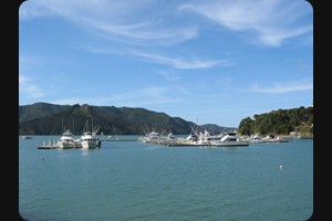 Whangaroa