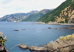 New Zealand - Kaikoura