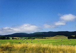 Neuseeland - Otago Farmland