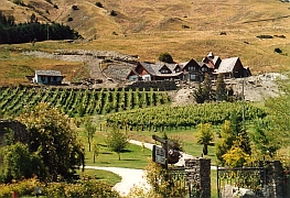 Neuseeland - Kawarau Vineyard