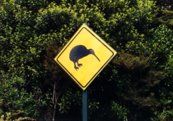 Neuseeland - Kiwi warning