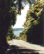 Neuseeland - Lake Rotoma