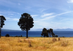 Neuseeland - Lake Taupo