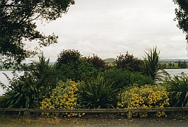 Neuseeland - Lake Waihola