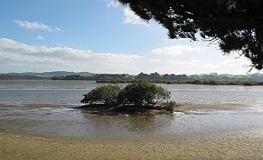 Neuseeland - Mangawhai