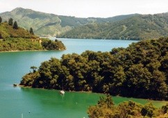 Neuseeland - Marlborough Sounds