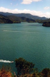 Neuseeland - Marlborough Sounds