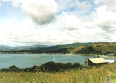 Neuseeland - Mercury Bay