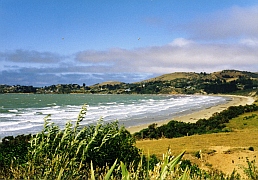 New Zealand - Moeraki Beach