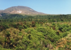 Neuseeland - Tongariro National Park