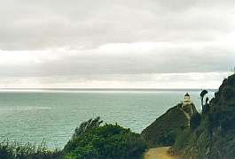 New Zealand - Nugget Point