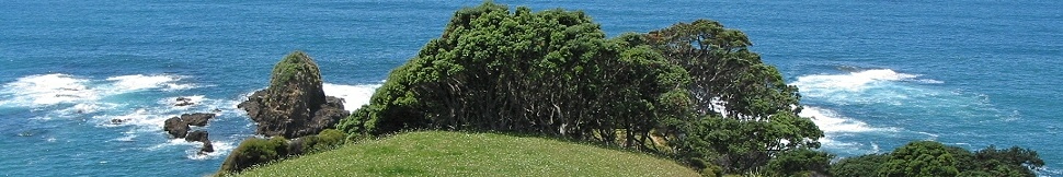 Neuseeland - Tutukaka Coast