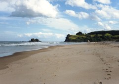 New Zealand - Opoutere Beach