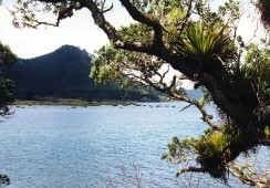 Neuseeland - Opoutere Bay